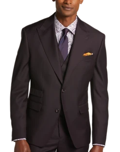 Tayion Classic Fit Suit Separates Coat, Wine Plum