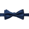 Egara Pre-Tied Bow Tie, Navy Stripe