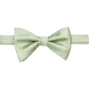 Egara Pre-Tied Bow Tie, Green Stripe