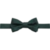 Egara Tonal Paisley Bow Tie, Green